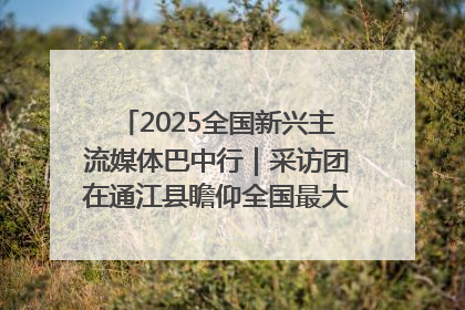 2025全国新兴主流媒体巴中行｜采访团在通江县瞻仰全国最大红军烈士陵园