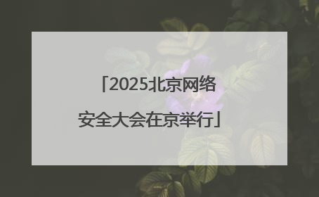 2025北京网络安全大会在京举行