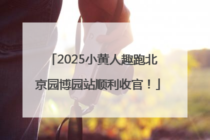 2025小黄人趣跑北京园博园站顺利收官！