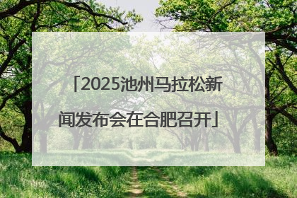 2025池州马拉松新闻发布会在合肥召开