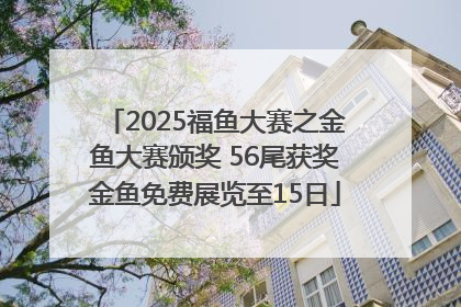 2025福鱼大赛之金鱼大赛颁奖 56尾获奖金鱼免费展览至15日