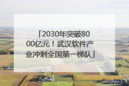 2030年突破8000亿元！武汉软件产业冲刺全国第一梯队