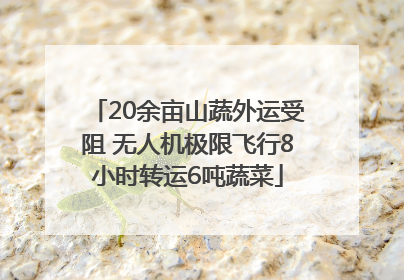 20余亩山蔬外运受阻 无人机极限飞行8小时转运6吨蔬菜