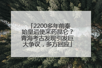 2200多年前秦始皇遣使采药昆仑？青海考古发现引发巨大争议，多方回应