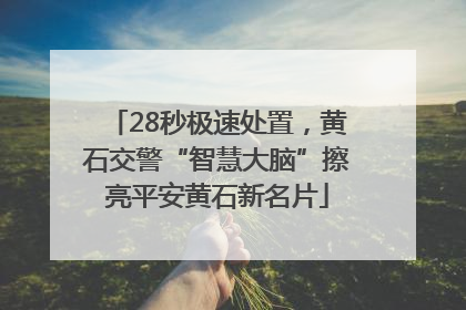 28秒极速处置，黄石交警“智慧大脑”擦亮平安黄石新名片