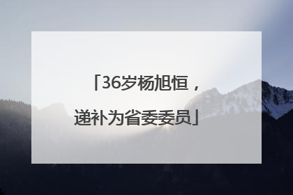 36岁杨旭恒，递补为省委委员