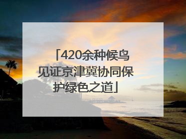 420余种候鸟见证京津冀协同保护绿色之道