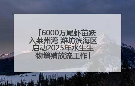 6000万尾虾苗跃入莱州湾 潍坊滨海区启动2025年水生生物增殖放流工作