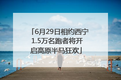 6月29日相约西宁 1.5万名跑者将开启高原半马狂欢