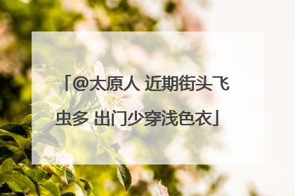 @太原人 近期街头飞虫多 出门少穿浅色衣